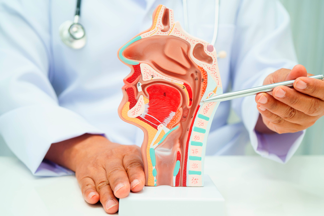 IMagem de uma proficional da saúde examinando os olhos de uma moça